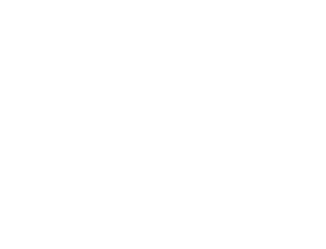 NS CA Incorporated
